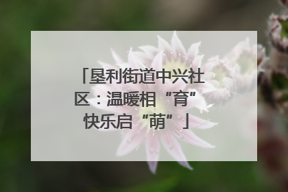 垦利街道中兴社区：温暖相“育” 快乐启“萌”