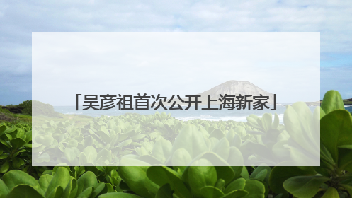 吴彦祖首次公开上海新家