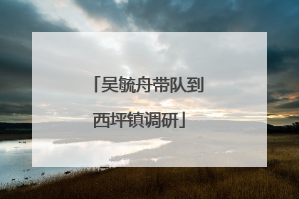 吴毓舟带队到西坪镇调研