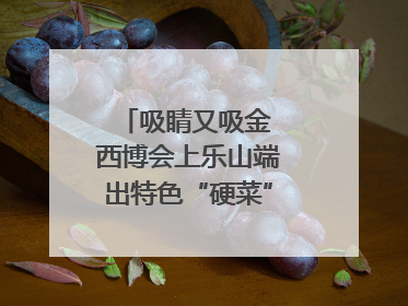 吸睛又吸金 西博会上乐山端出特色“硬菜”｜西博视界