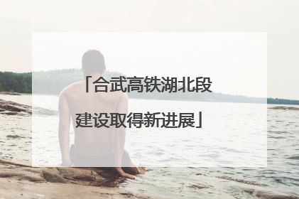 合武高铁湖北段建设取得新进展