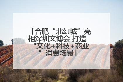 合肥“北幻城”亮相深圳文博会 打造“文化+科技+商业”消费场景