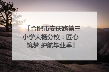 合肥市安庆路第三小学大杨分校：匠心筑梦 护航毕业季