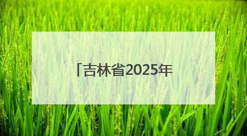 吉林省2025年“奔跑吧·少年”主题健身系列活动盛大启幕 “热路少年”少儿跑长春站点燃少年运动热情