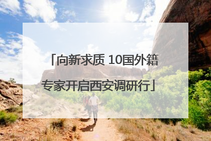 向新求质 10国外籍专家开启西安调研行