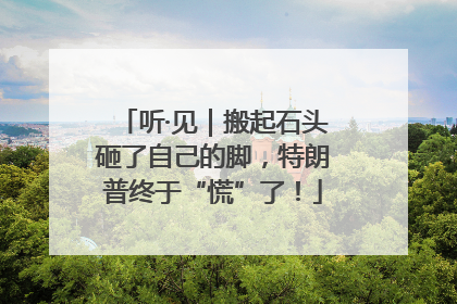 听·见｜搬起石头砸了自己的脚，特朗普终于“慌”了！