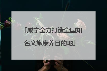 咸宁全力打造全国知名文旅康养目的地