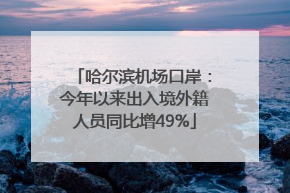 哈尔滨机场口岸：今年以来出入境外籍人员同比增49%