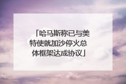 哈马斯称已与美特使就加沙停火总体框架达成协议