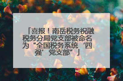 喜报！南岳税务祝融税务分局党支部被命名为“全国税务系统‘四强’党支部”