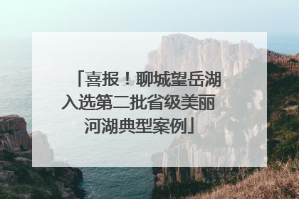 喜报！聊城望岳湖入选第二批省级美丽河湖典型案例