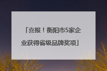 喜报！衡阳市5家企业获得省级品牌奖项