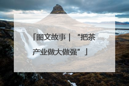 图文故事｜“把茶产业做大做强”