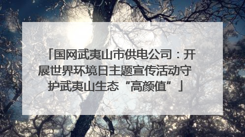 国网武夷山市供电公司：开展世界环境日主题宣传活动守护武夷山生态“高颜值”