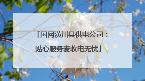 国网潢川县供电公司：贴心服务麦收电无忧