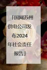 国网苏州供电公司发布2024年社会责任报告