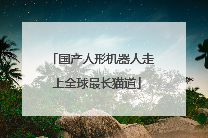 国产人形机器人走上全球最长猫道