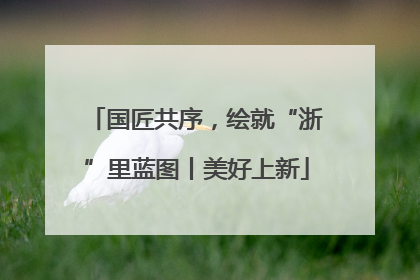 国匠共序，绘就“浙”里蓝图丨美好上新