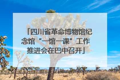 四川省革命博物馆纪念馆“一馆一课”工作推进会在巴中召开
