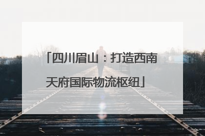 四川眉山：打造西南天府国际物流枢纽