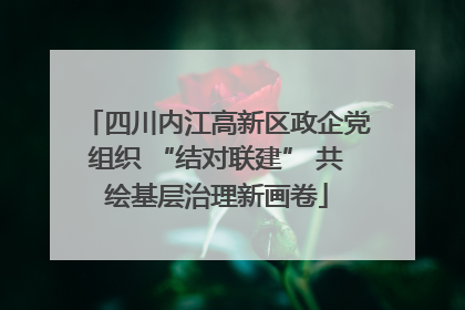 四川内江高新区政企党组织 “结对联建” 共绘基层治理新画卷