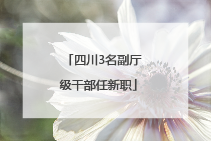 四川3名副厅级干部任新职