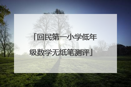回民第一小学低年级数学无纸笔测评