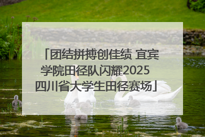 团结拼搏创佳绩 宜宾学院田径队闪耀2025四川省大学生田径赛场