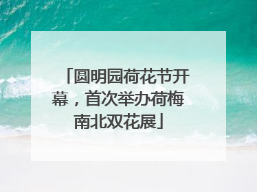 圆明园荷花节开幕，首次举办荷梅南北双花展
