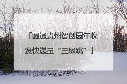 圆通贵州智创园年收发快递量“三级跳”