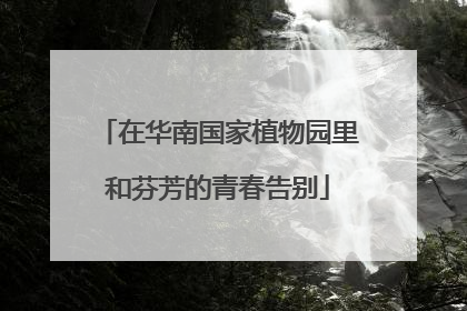 在华南国家植物园里和芬芳的青春告别