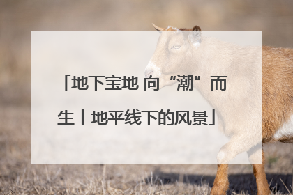 地下宝地 向“潮”而生丨地平线下的风景
