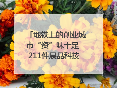 地铁上的创业城市“资”味十足 211件展品科技与烟火气完美融合｜西博视界