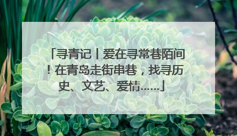 寻青记丨爱在寻常巷陌间！在青岛走街串巷，找寻历史、文艺、爱情……