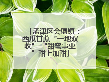 孟津区会盟镇：西瓜甘蔗“一地双收” “甜蜜事业”甜上加甜