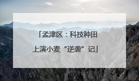 孟津区：科技种田 上演小麦“逆袭”记