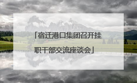 宿迁港口集团召开挂职干部交流座谈会