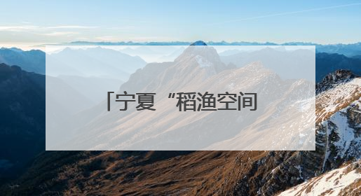 宁夏“稻渔空间”开园 解锁初夏“稻田游”