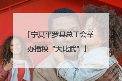 宁夏平罗县总工会举办插秧“大比武”