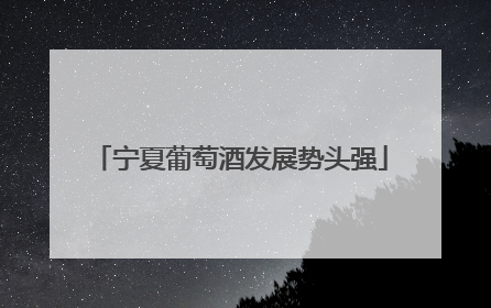 宁夏葡萄酒发展势头强
