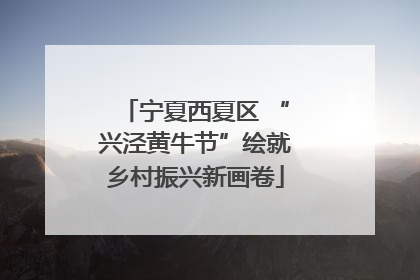 宁夏西夏区 “兴泾黄牛节”绘就乡村振兴新画卷