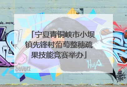 宁夏青铜峡市小坝镇先锋村葡萄整穗疏果技能竞赛举办
