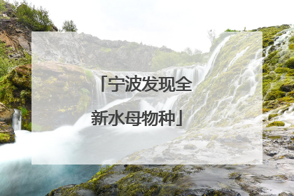 宁波发现全新水母物种