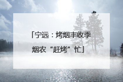 宁远：烤烟丰收季 烟农“赶烤”忙