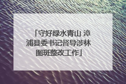守好绿水青山 漳浦县委书记督导涉林图斑整改工作