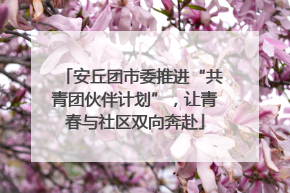 安丘团市委推进“共青团伙伴计划”，让青春与社区双向奔赴