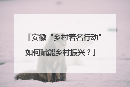 安徽“乡村著名行动”如何赋能乡村振兴？