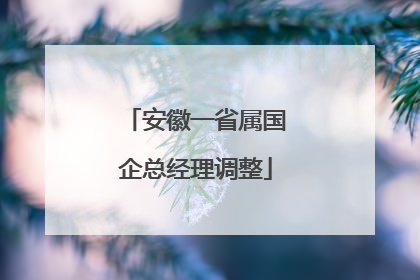 安徽一省属国企总经理调整