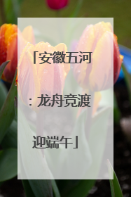 安徽五河：龙舟竞渡迎端午