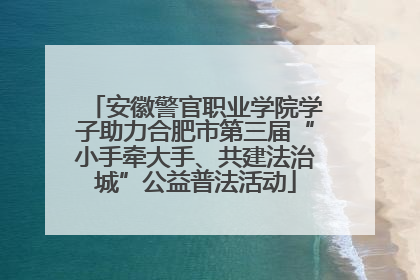 安徽警官职业学院学子助力合肥市第三届“小手牵大手、共建法治城”公益普法活动